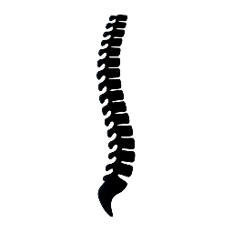 Sciatica Help Macomb County